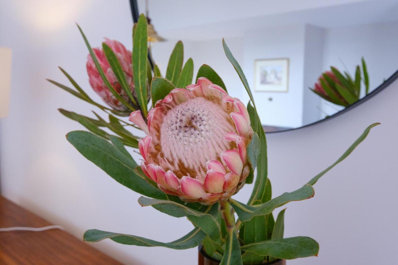 קאניקו Garajau House - Sunrise To Sunset Ocean View Villa מראה חיצוני תמונה